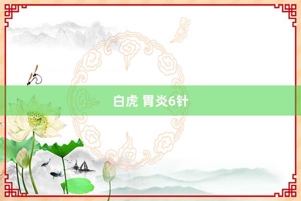 白虎 胃炎6针