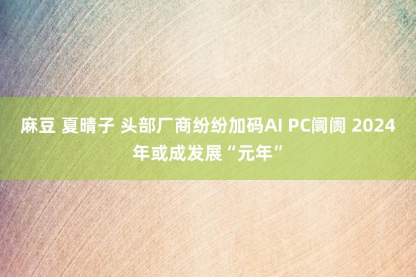 麻豆 夏晴子 头部厂商纷纷加码AI PC阛阓 2024年或成发展“元年”