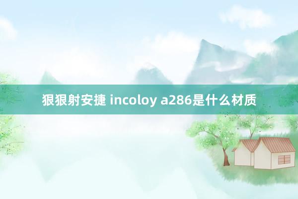 狠狠射安捷 incoloy a286是什么材质