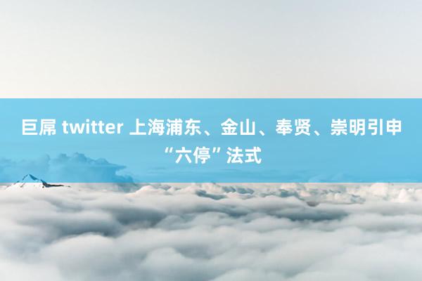 巨屌 twitter 上海浦东、金山、奉贤、崇明引申“六停”法式