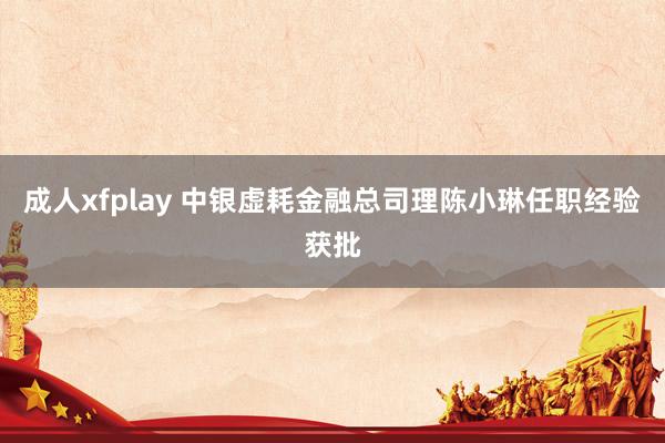 成人xfplay 中银虚耗金融总司理陈小琳任职经验获批