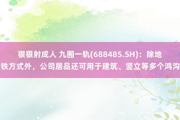 狠狠射成人 九囿一轨(688485.SH)：除地铁方式外，公司居品还可用于建筑、竖立等多个鸿沟