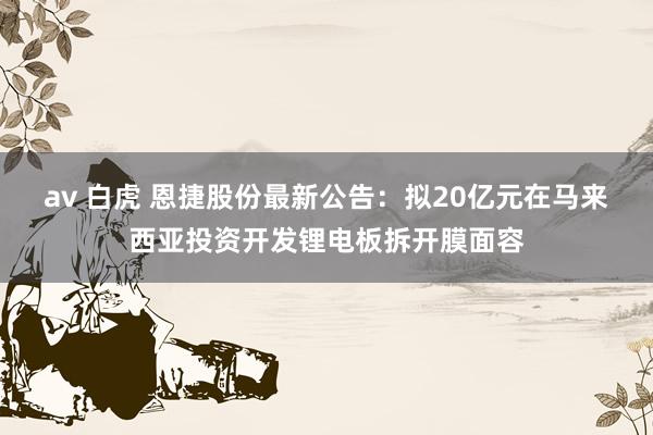 av 白虎 恩捷股份最新公告：拟20亿元在马来西亚投资开发锂电板拆开膜面容