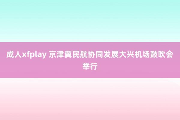 成人xfplay 京津冀民航协同发展大兴机场鼓吹会举行