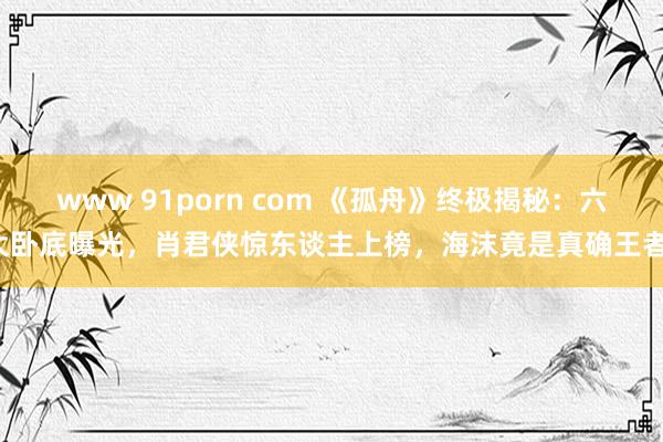 www 91porn com 《孤舟》终极揭秘：六大卧底曝光，肖君侠惊东谈主上榜，海沫竟是真确王者！