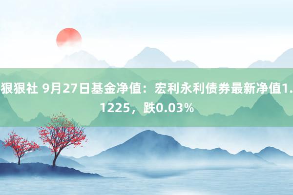 狠狠社 9月27日基金净值：宏利永利债券最新净值1.1225，跌0.03%