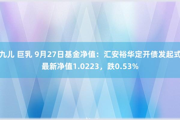 九儿 巨乳 9月27日基金净值：汇安裕华定开债发起式最新净值1.0223，跌0.53%