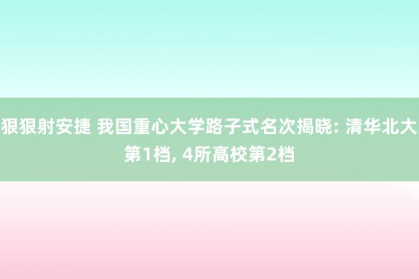 狠狠射安捷 我国重心大学路子式名次揭晓: 清华北大第1档， 4所高校第2档