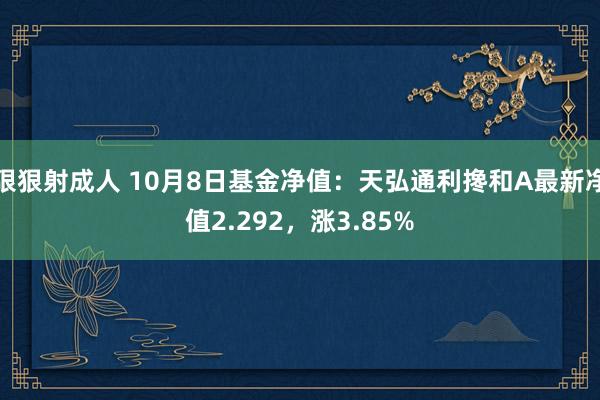 狠狠射成人 10月8日基金净值：天弘通利搀和A最新净值2.292，涨3.85%