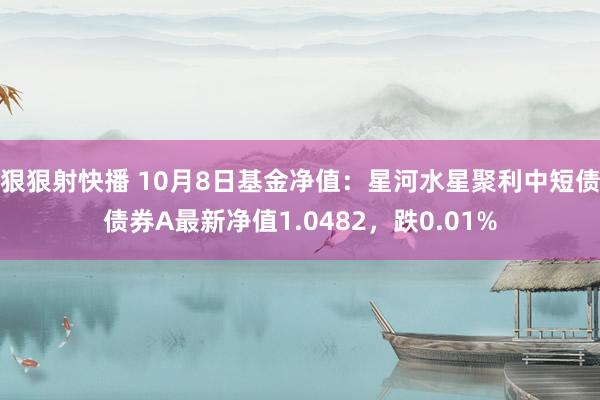 狠狠射快播 10月8日基金净值：星河水星聚利中短债债券A最新净值1.0482，跌0.01%