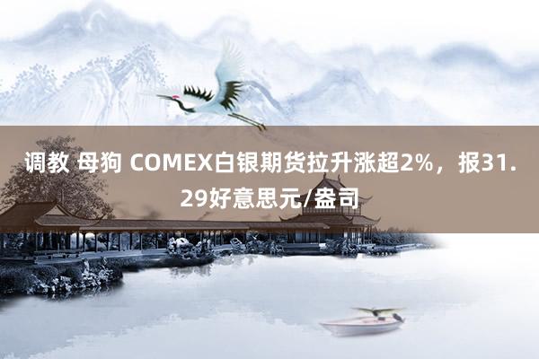 调教 母狗 COMEX白银期货拉升涨超2%，报31.29好意思元/盎司