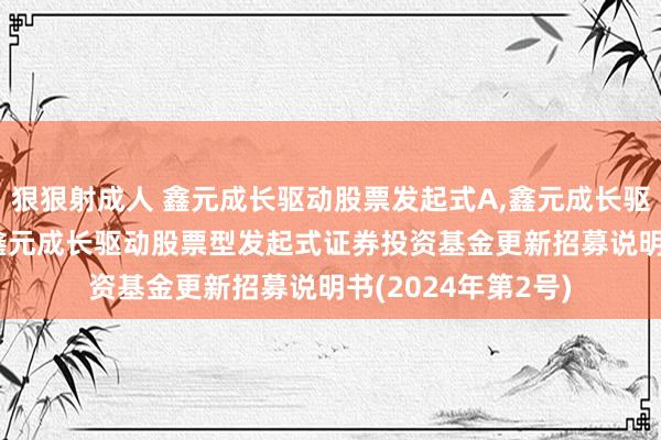 狠狠射成人 鑫元成长驱动股票发起式A，鑫元成长驱动股票发起式C: 鑫元成长驱动股票型发起式证券投资基金更新招募说明书(2024年第2号)