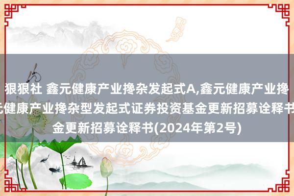 狠狠社 鑫元健康产业搀杂发起式A，鑫元健康产业搀杂发起式C: 鑫元健康产业搀杂型发起式证券投资基金更新招募诠释书(2024年第2号)