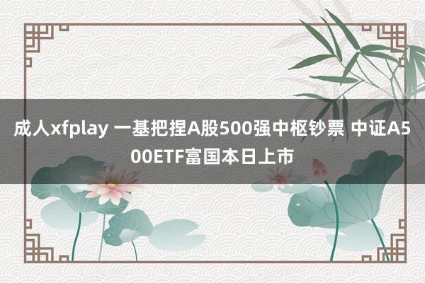 成人xfplay 一基把捏A股500强中枢钞票 中证A500ETF富国本日上市