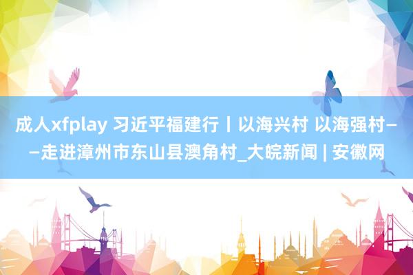 成人xfplay 习近平福建行丨以海兴村 以海强村——走进漳州市东山县澳角村_大皖新闻 | 安徽网