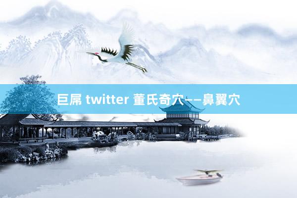 巨屌 twitter 董氏奇穴——鼻翼穴