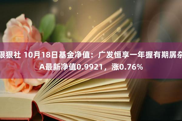 狠狠社 10月18日基金净值：广发恒享一年握有期羼杂A最新净值0.9921，涨0.76%