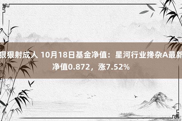 狠狠射成人 10月18日基金净值：星河行业搀杂A最新净值0.872，涨7.52%