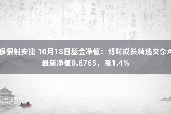 狠狠射安捷 10月18日基金净值：博时成长精选夹杂A最新净值0.8765，涨1.4%