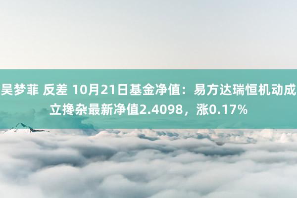 吴梦菲 反差 10月21日基金净值：易方达瑞恒机动成立搀杂最新净值2.4098，涨0.17%