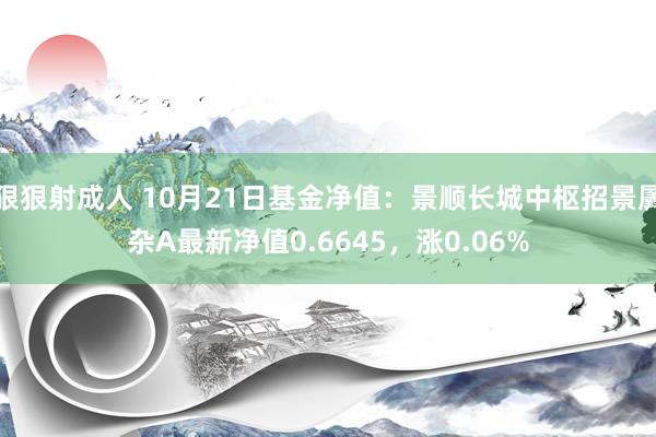 狠狠射成人 10月21日基金净值：景顺长城中枢招景羼杂A最新净值0.6645，涨0.06%