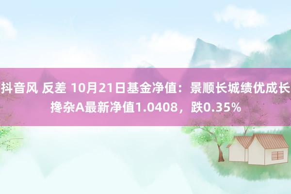 抖音风 反差 10月21日基金净值：景顺长城绩优成长搀杂A最新净值1.0408，跌0.35%