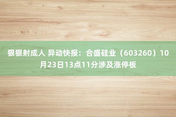 狠狠射成人 异动快报：合盛硅业（603260）10月23日13点11分涉及涨停板