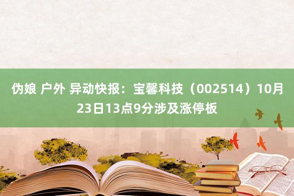 伪娘 户外 异动快报：宝馨科技（002514）10月23日13点9分涉及涨停板