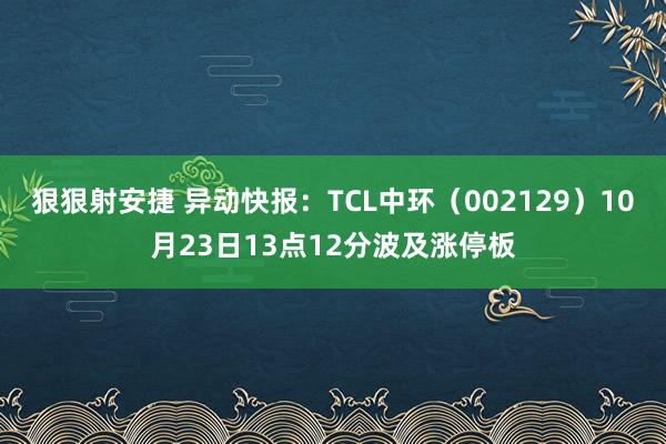 狠狠射安捷 异动快报：TCL中环（002129）10月23日13点12分波及涨停板