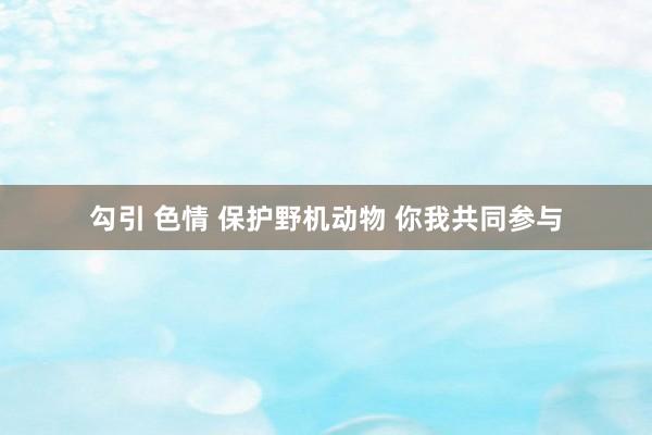 勾引 色情 保护野机动物 你我共同参与