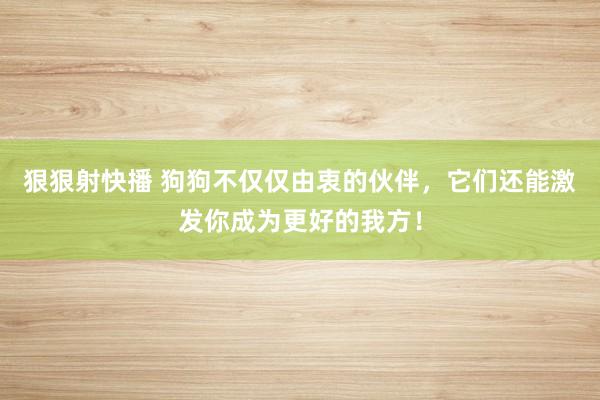 狠狠射快播 狗狗不仅仅由衷的伙伴，它们还能激发你成为更好的我方！