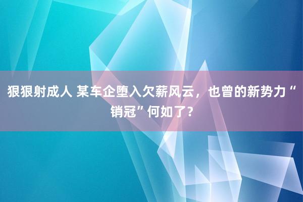 狠狠射成人 某车企堕入欠薪风云，也曾的新势力“销冠”何如了？