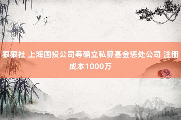 狠狠社 上海国投公司等确立私募基金惩处公司 注册成本1000万