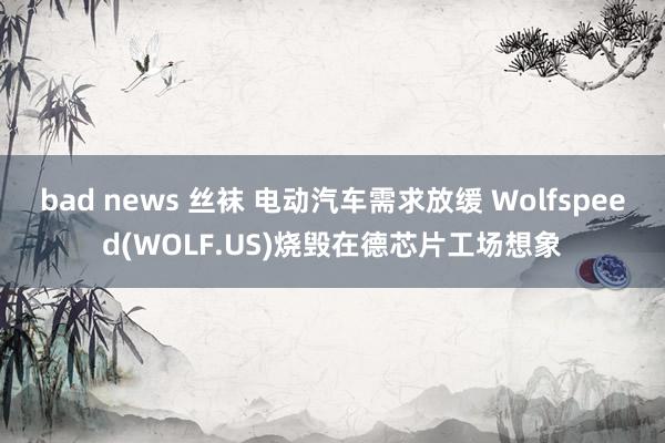 bad news 丝袜 电动汽车需求放缓 Wolfspeed(WOLF.US)烧毁在德芯片工场想象