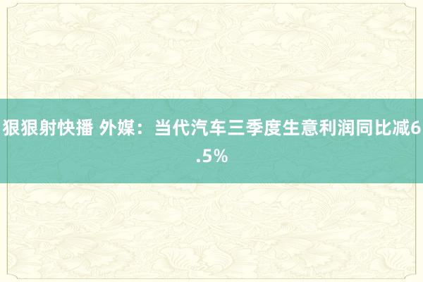 狠狠射快播 外媒：当代汽车三季度生意利润同比减6.5%