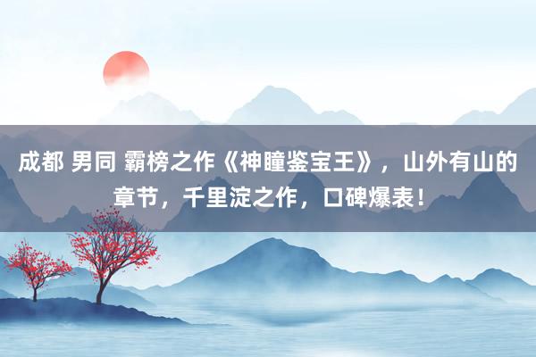 成都 男同 霸榜之作《神瞳鉴宝王》，山外有山的章节，千里淀之作，口碑爆表！