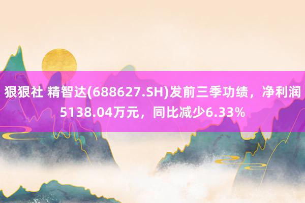 狠狠社 精智达(688627.SH)发前三季功绩，净利润5138.04万元，同比减少6.33%