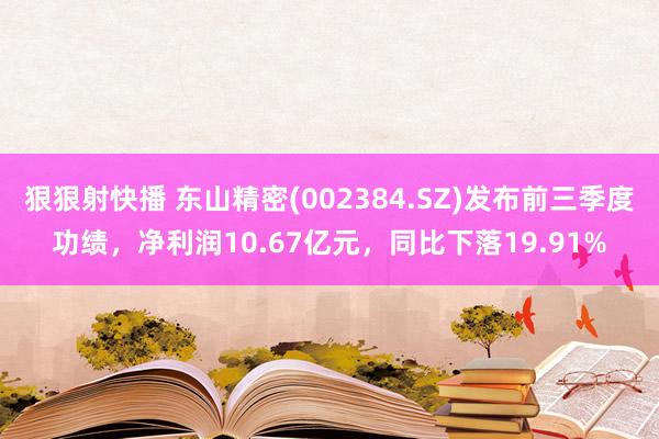 狠狠射快播 东山精密(002384.SZ)发布前三季度功绩，净利润10.67亿元，同比下落19.91%