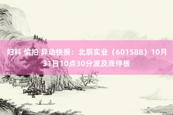 妇科 偷拍 异动快报：北辰实业（601588）10月31日10点30分波及涨停板