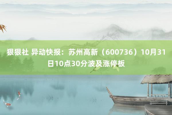 狠狠社 异动快报：苏州高新（600736）10月31日10点30分波及涨停板