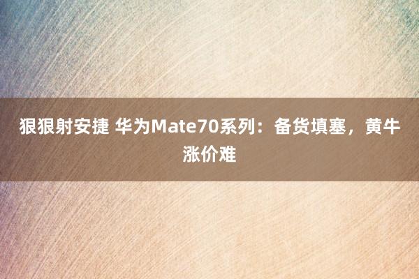 狠狠射安捷 华为Mate70系列：备货填塞，黄牛涨价难