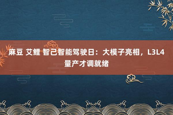 麻豆 艾鲤 智己智能驾驶日：大模子亮相，L3L4量产才调就绪