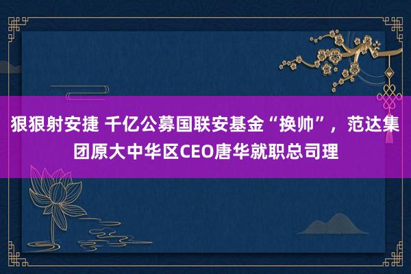 狠狠射安捷 千亿公募国联安基金“换帅”，范达集团原大中华区CEO唐华就职总司理