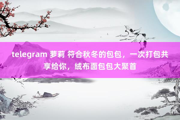 telegram 萝莉 符合秋冬的包包，一次打包共享给你，绒布面包包大聚首