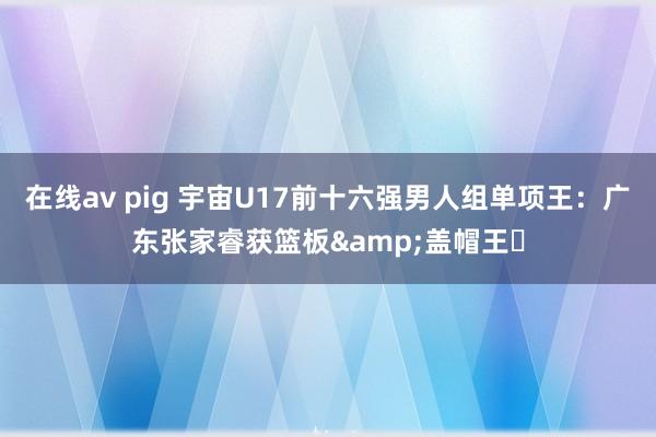 在线av pig 宇宙U17前十六强男人组单项王：广东张家睿获篮板&盖帽王⭐