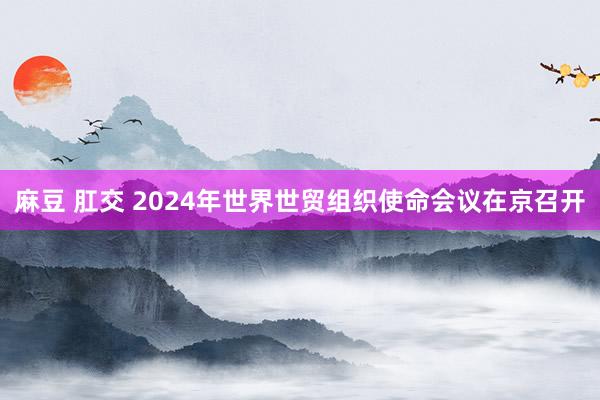 麻豆 肛交 2024年世界世贸组织使命会议在京召开