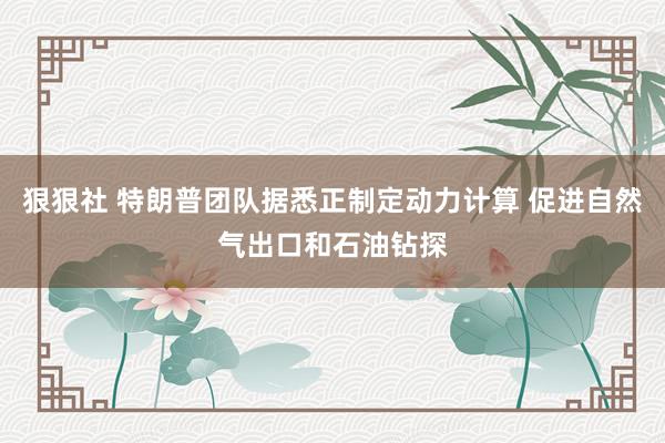 狠狠社 特朗普团队据悉正制定动力计算 促进自然气出口和石油钻探