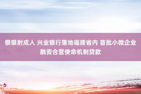 狠狠射成人 兴业银行落地福建省内 首批小微企业融资合营使命机制贷款