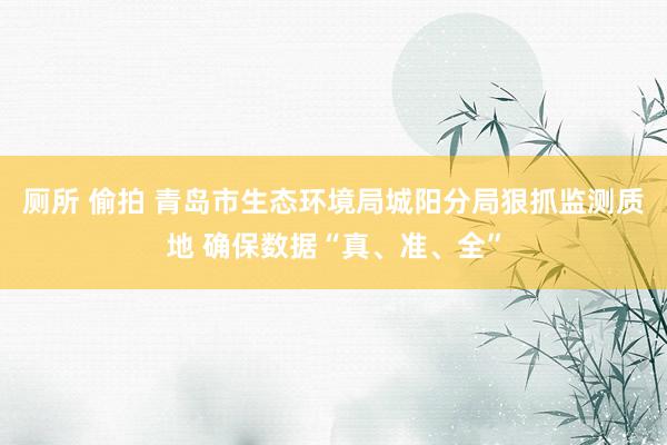 厕所 偷拍 青岛市生态环境局城阳分局狠抓监测质地 确保数据“真、准、全”