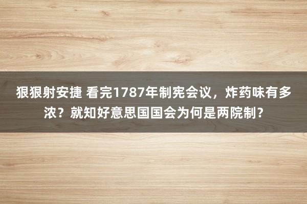 狠狠射安捷 看完1787年制宪会议，炸药味有多浓？就知好意思国国会为何是两院制？